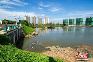 海南百亩红树林遭破坏 沦为高档小区垃圾场 高清组图