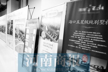 郑州 候鸟老人 为躲寒冷和雾霾组团去海南过冬