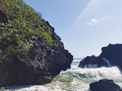 海南一年四季气候情况(海南哪里气候适合长久)