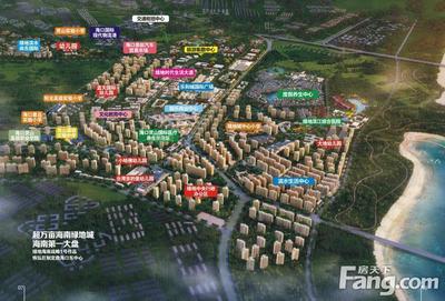 海南大盘炼成记:这壹年,见证 500强力量