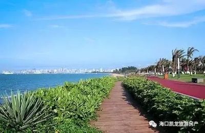 海南房价未来将超越一线城市,健康专家建议你现在去海南买房!