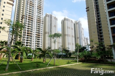 海南买房如何规避台风带来的不利影响 一份购房者的全方位指南